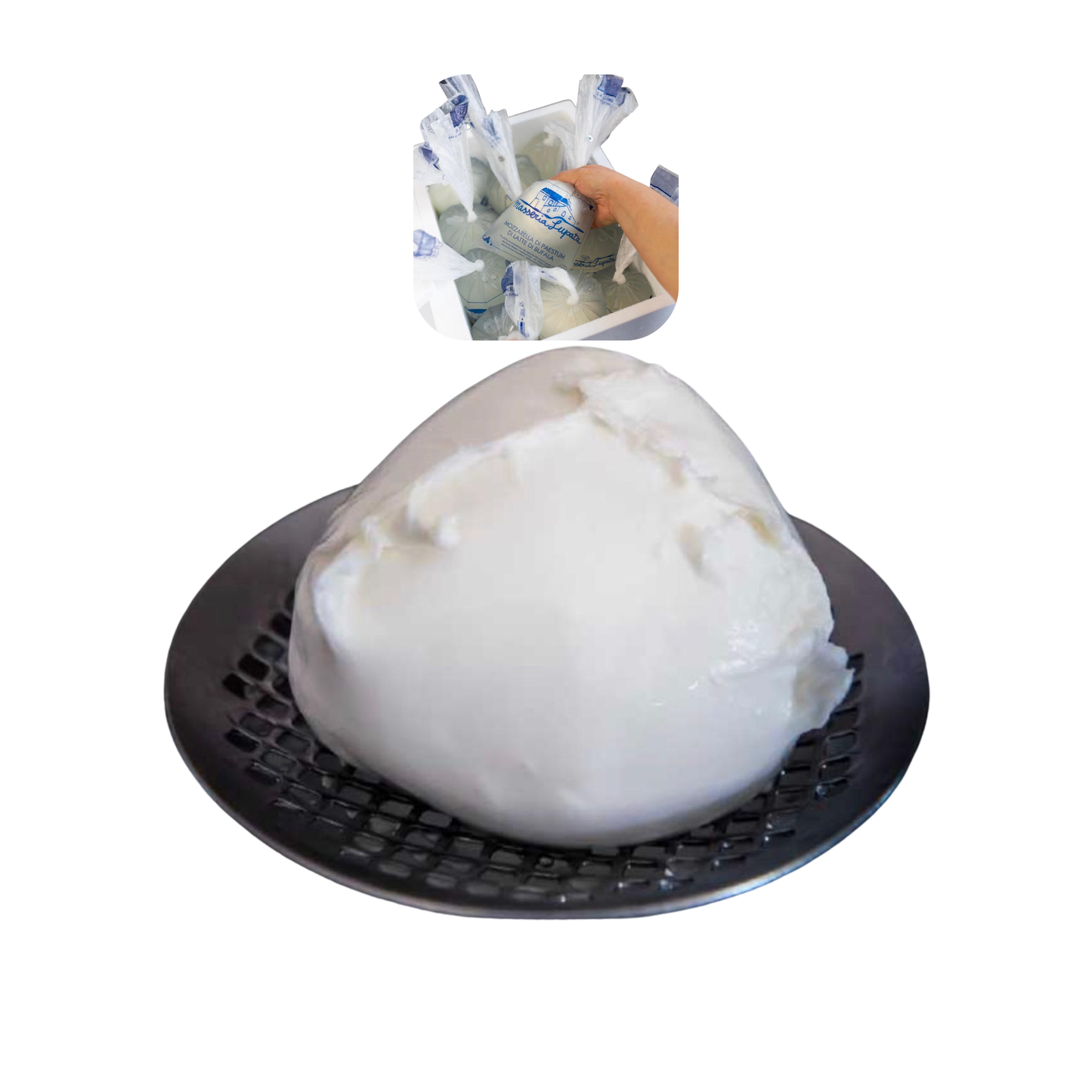 Auf Vorbestellung – Frische Büffelmozzarella aus Kampanien, Paestum.Verfügbar dienstags, Bestellung bis Freitag.