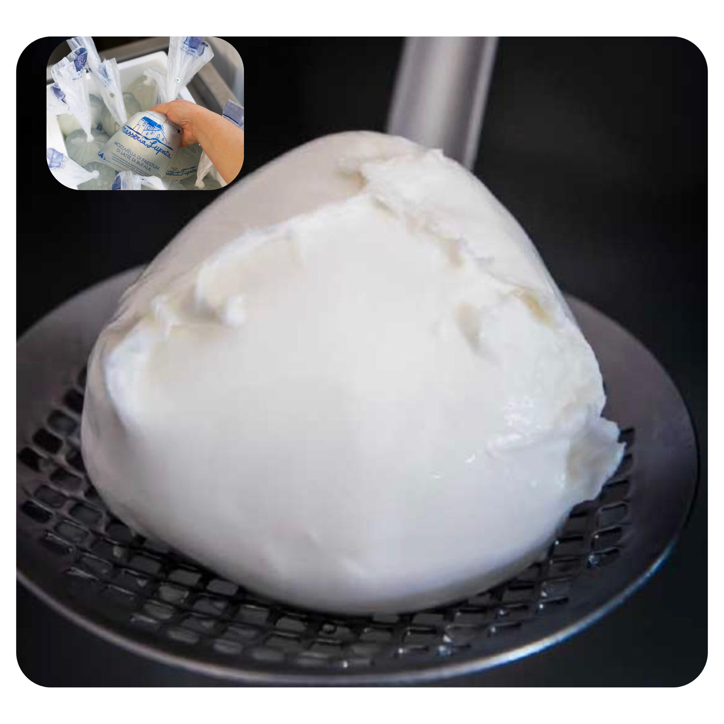 Jeden Dienstag nur auf Vorbestellung. Ansonsten gibt es sie in unserem Shop.