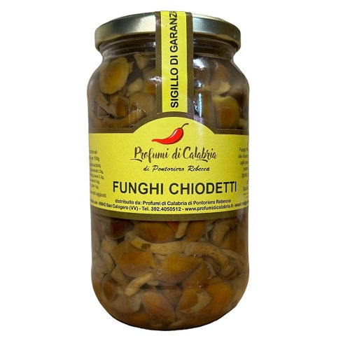Vasetto Funghi Chiodetti 580 ml