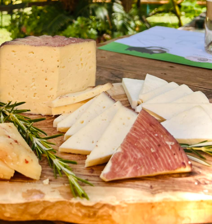 Halbgereifter Pecorino aus Kalabrien, in Rotwein veredelt